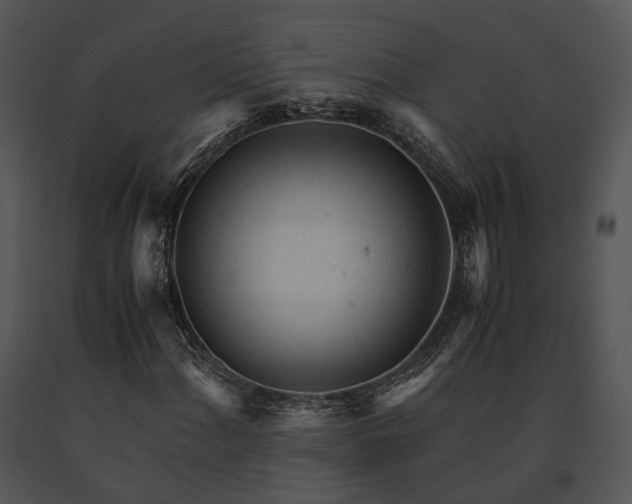 X0000091661060200708301434