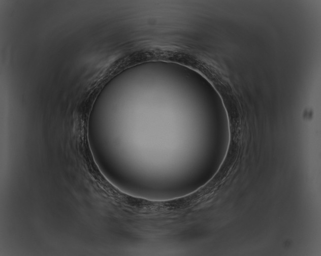 X0000091661061200708301434