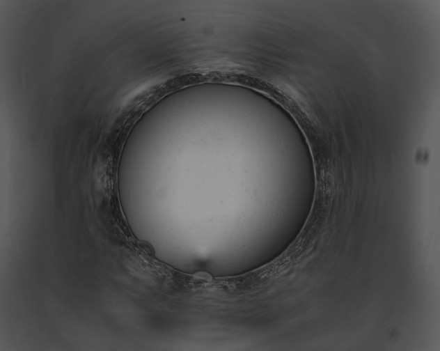 X0000091661063200708301434