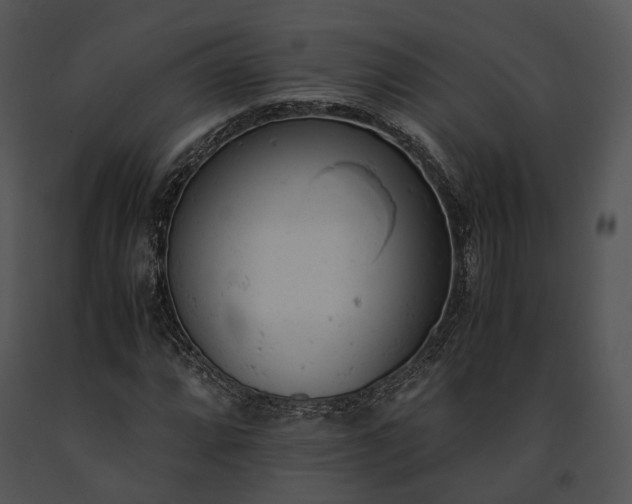 X0000091661064200708301434