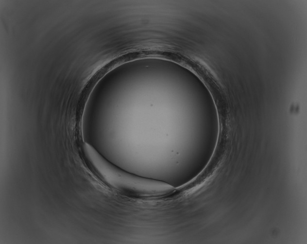 X0000091661065200708301434