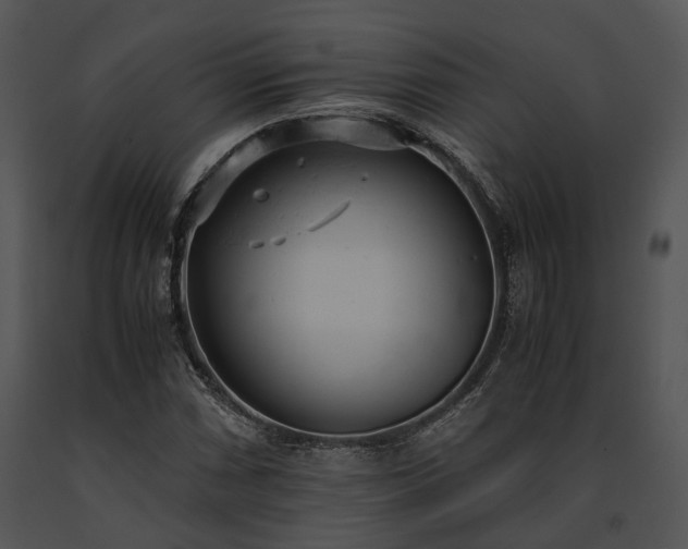 X0000091661066200708301434