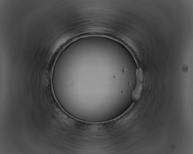 X0000091661067200708301434