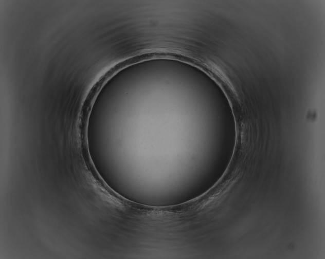 X0000091661068200708301434