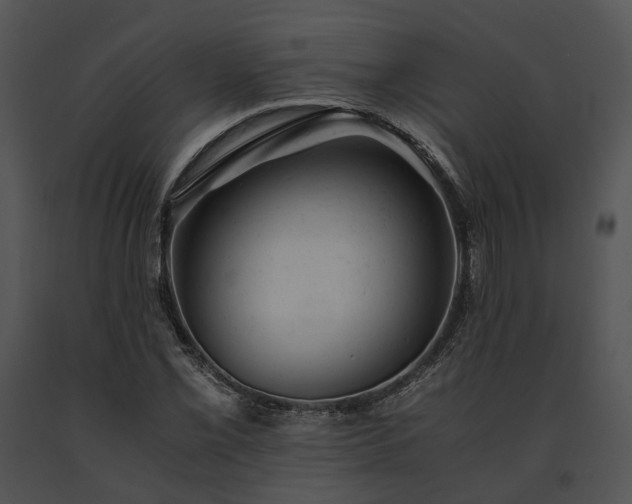 X0000091661069200708301434