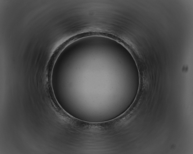 X0000091661070200708301434