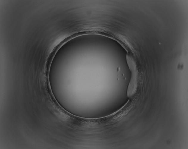 X0000091661071200708301434