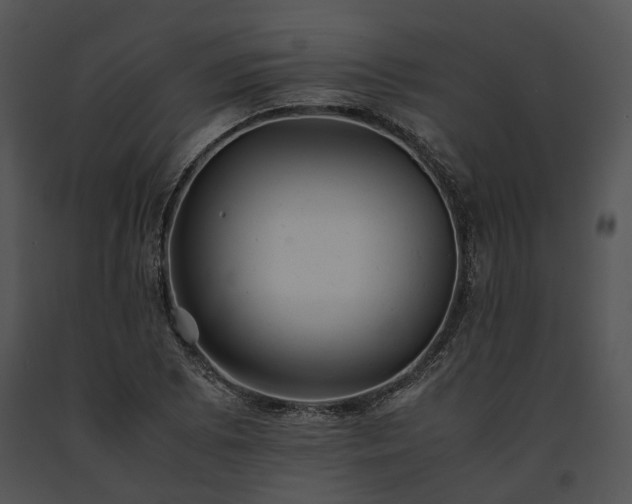 X0000091661073200708301434