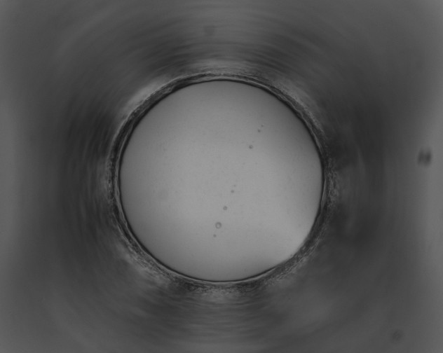 X0000091661074200708301434