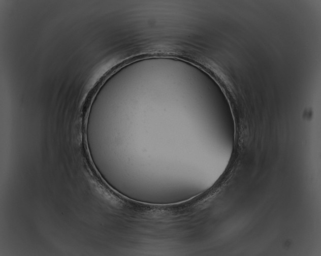 X0000091661075200708301434