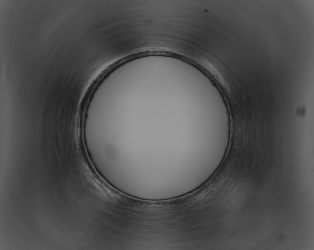 X0000091661076200708301434