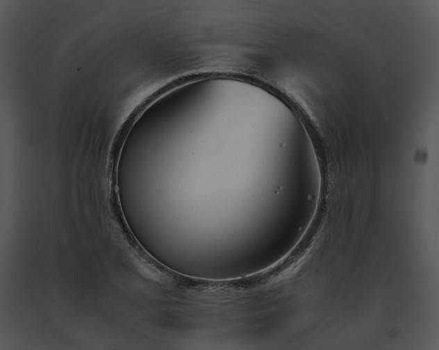 X0000091661077200708301434
