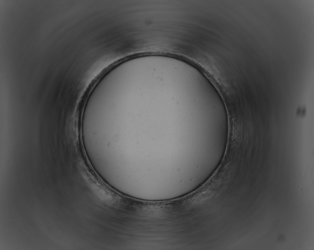 X0000091661078200708301434