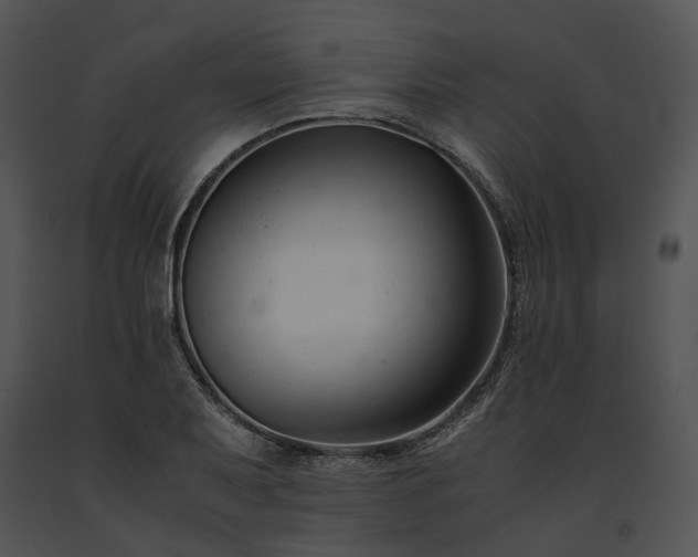X0000091661079200708301434