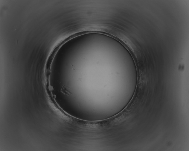 X0000091661080200708301434