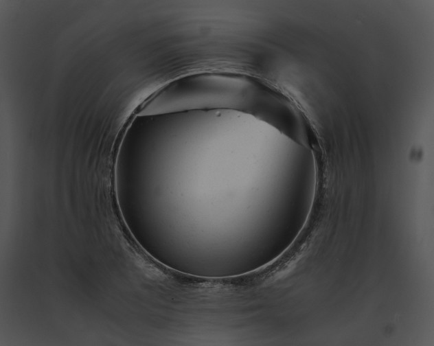X0000091661081200708301434