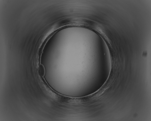 X0000091661083200708301434