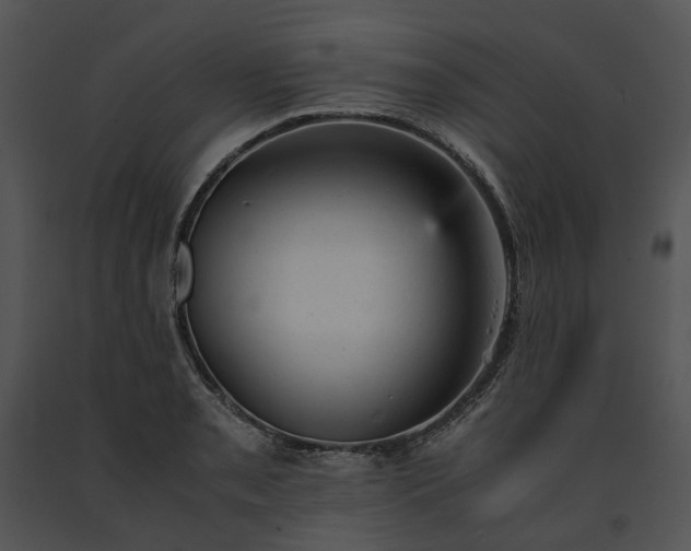X0000091661085200708301434