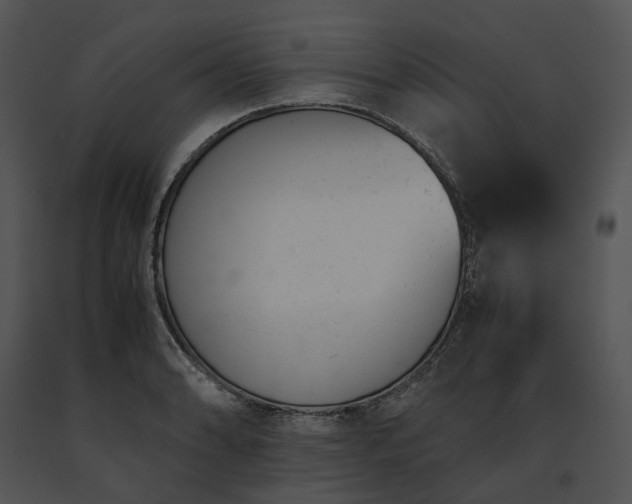 X0000091661086200708301434