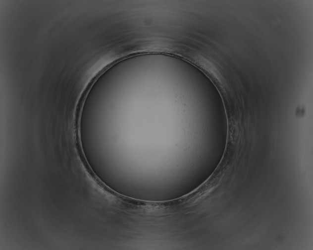 X0000091661087200708301434