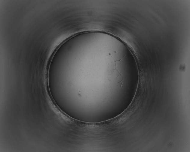 X0000091661088200708301433