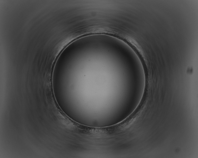 X0000091661089200708301433
