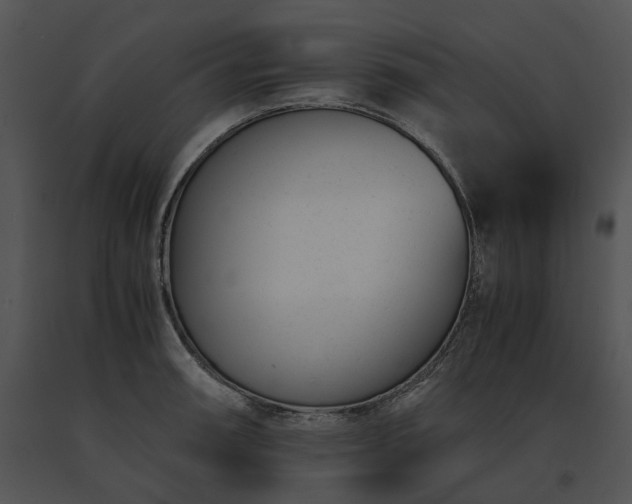 X0000091661090200708301433