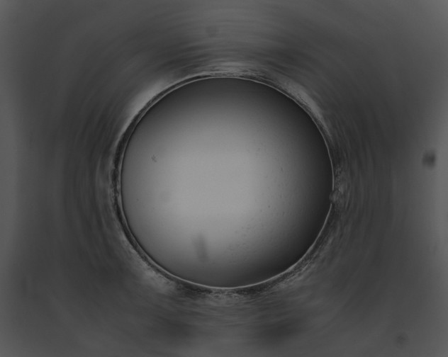 X0000091661091200708301433
