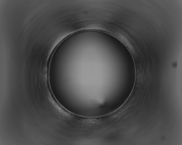 X0000091661092200708301433