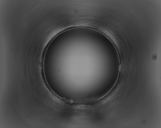 X0000091661093200708301433