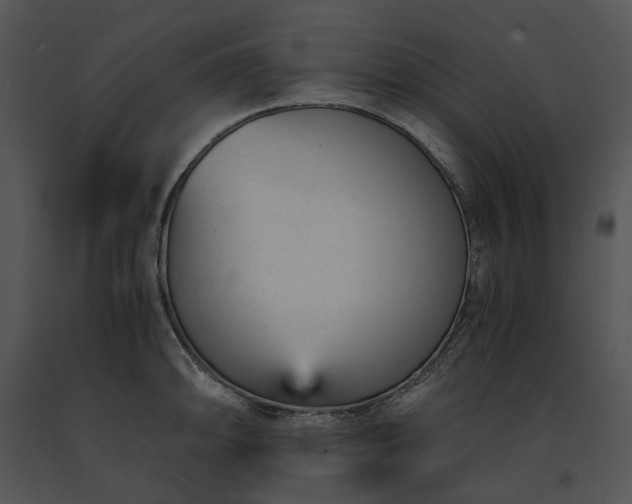 X0000091661094200708301433