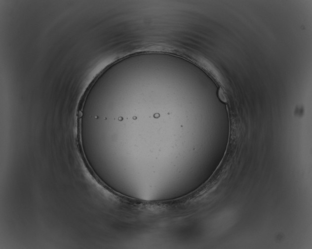 X0000091661095200708301433