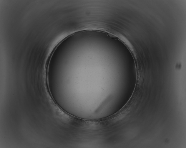 X0000091661096200708301433