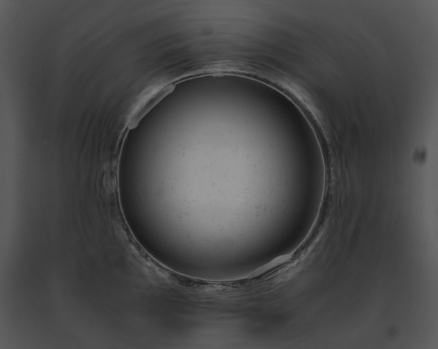 X0000091661097200708301433