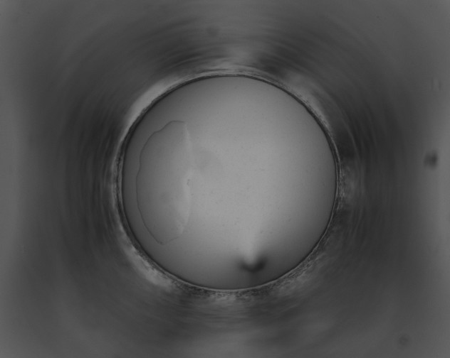 X0000091661098200708301433