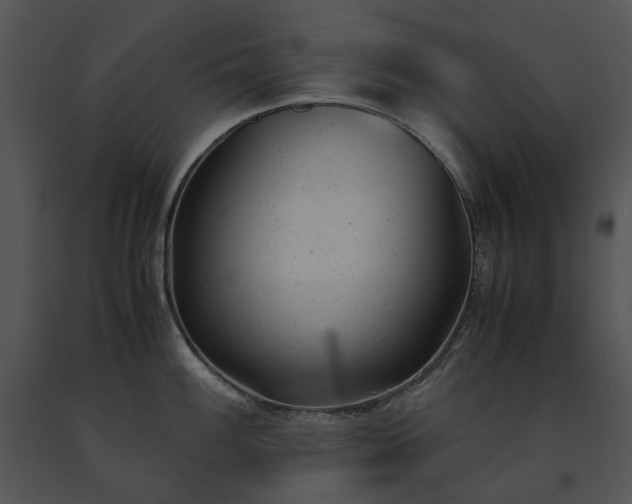 X0000091661100200708301433
