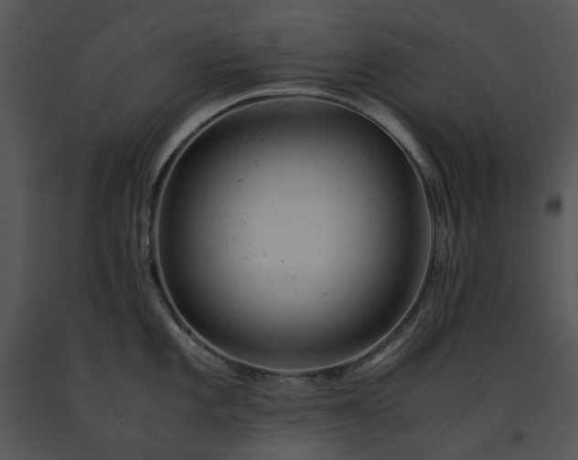 X0000091661101200708301433
