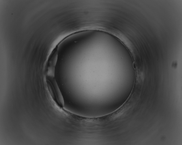 X0000091661102200708301433