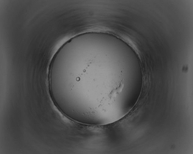 X0000091661103200708301433
