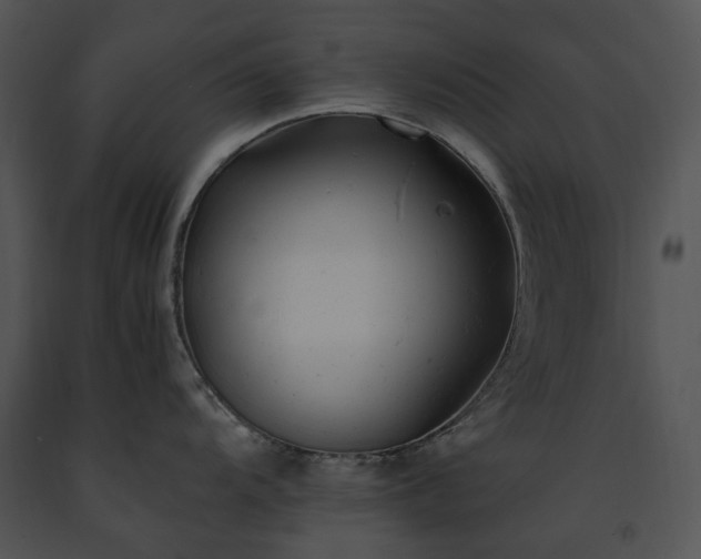 X0000091661104200708301433