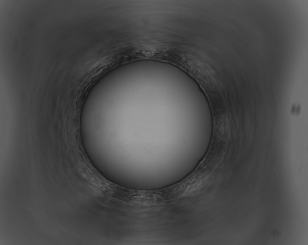 X0000091661105200708301433