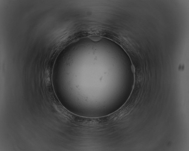 X0000091661106200708301433