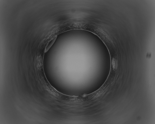 X0000091661107200708301433