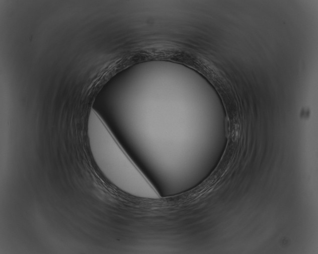 X0000091661108200708301433