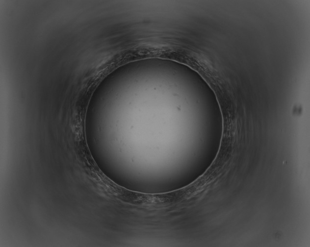 X0000091661109200708301433
