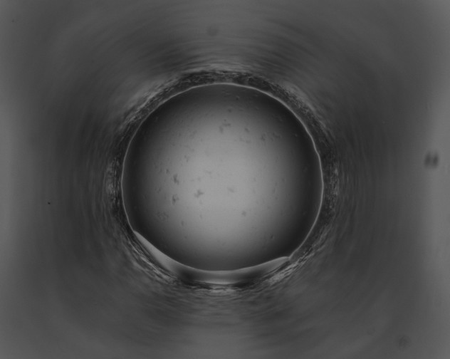 X0000091661110200708301433