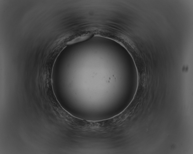 X0000091661111200708301433