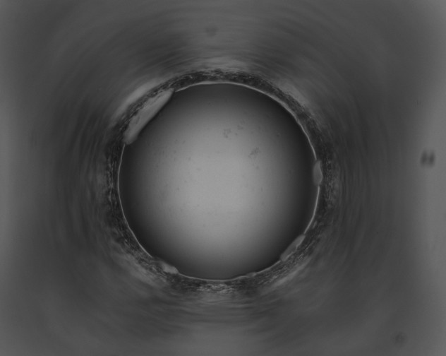 X0000091661112200708301433