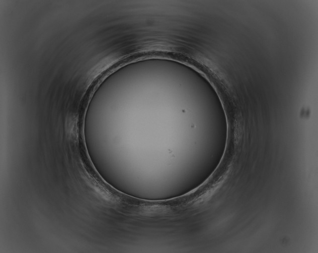 X0000091661113200708301433