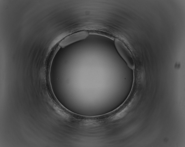X0000091661114200708301433